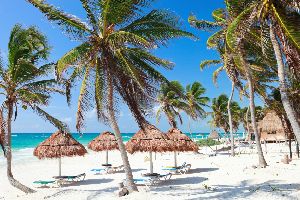 Costa Maya Costa Maya