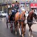 Vienna Carriage
