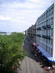 Savannah
