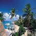 Palm trees and rocks on tropical beach, Virgin Gorda
