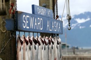 Seward Seward