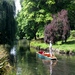 Christchurch Punter On Avon