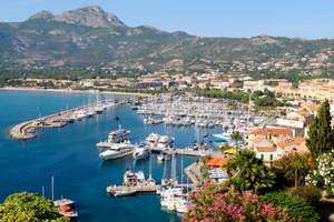 Calvi Calvi