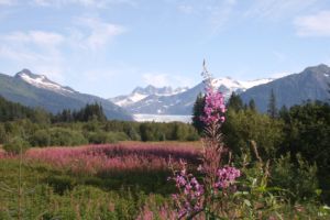 Juneau Juneau