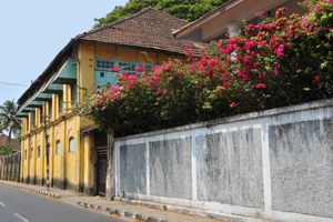 Kochi Kochi