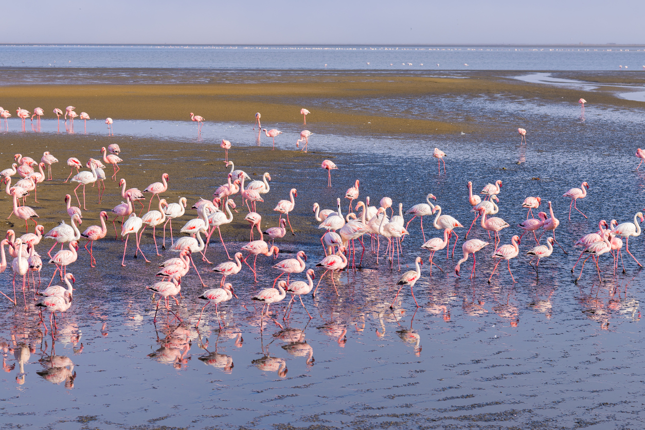 Find Walvis Bay Namibia Hotels Downtown Hotels In Walvis Bay