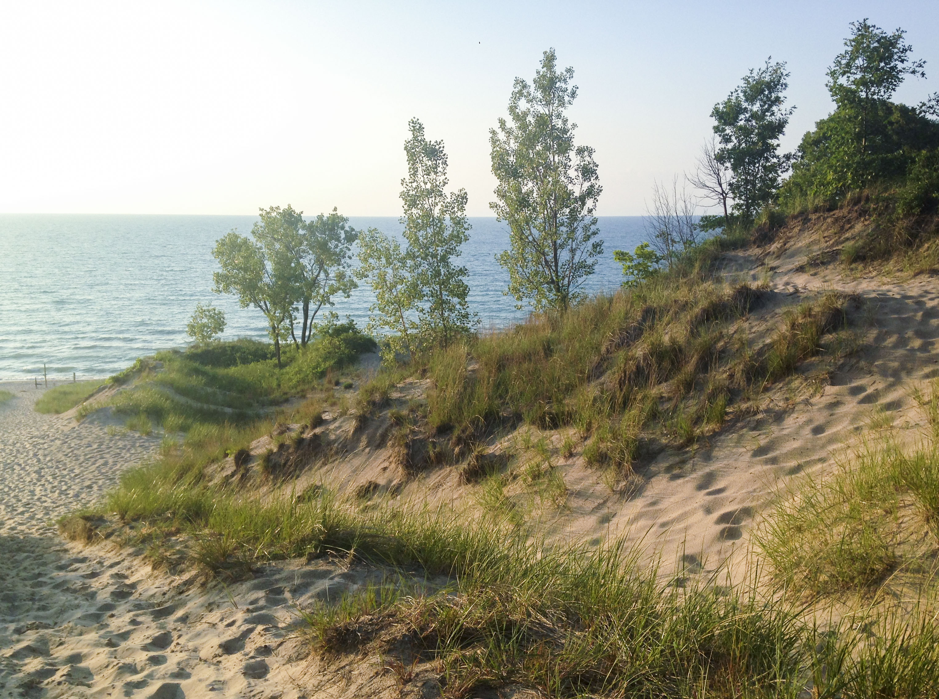 Find Indiana Dunes State Park, IN Hotels Downtown Hotels in Indiana