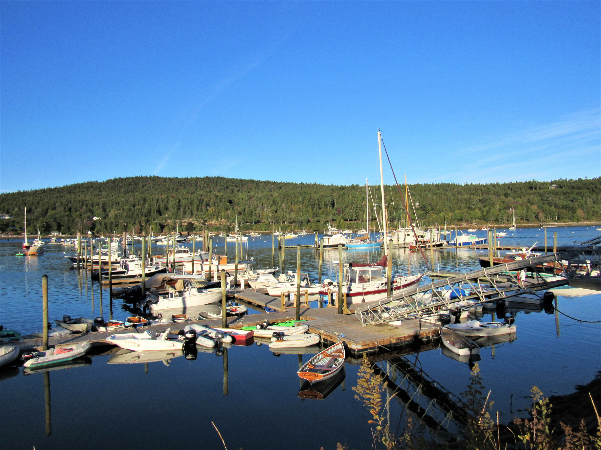 Tourist Class Northeast Harbor, ME Hotels Downtown Hotels in Northeast