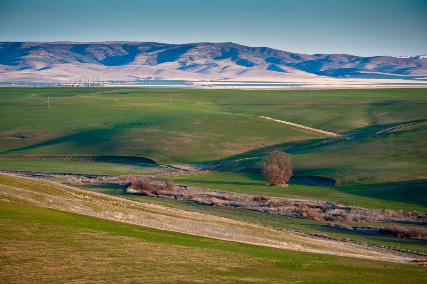 Find Pendleton, OR Hotels Downtown Hotels in Pendleton Hotel Search