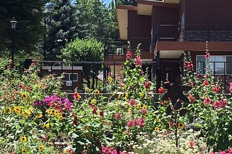 Lake View Lodge Lee Vining Yosemite Park