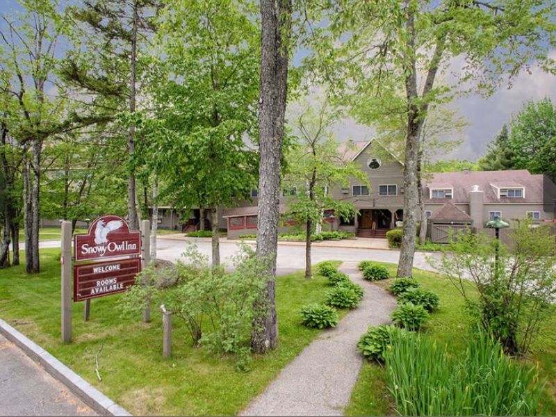 Snowy Owl Inn