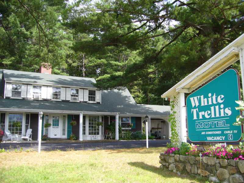 White Trellis Motel