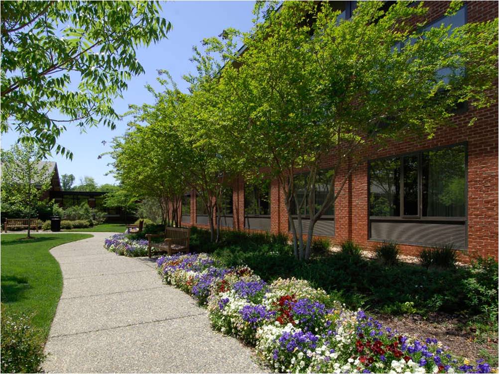 Williamsburg Woodlands Hotel & Suites