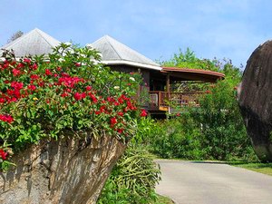 Guavaberry Spring Bay