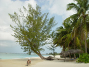 Harbour Heights