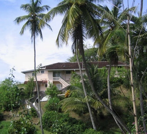 Arnos Vale Hotel