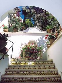 Gatto Bianco Hotel & Spa