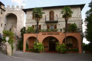 Windsor Savoia