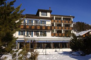 Hotel Spinne