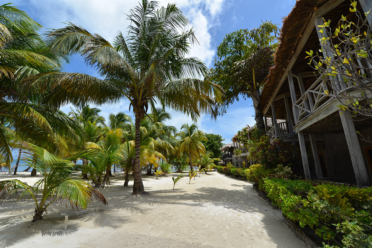 Captain Morgan's Retreat