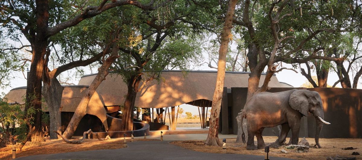 Belmond Eagle Island Lodge