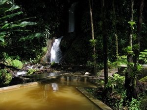 Papillote Wilderness Retreat