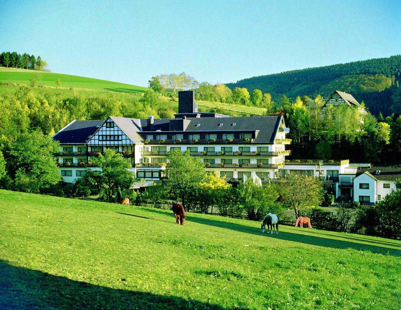 Sauerland Alpin Hotel