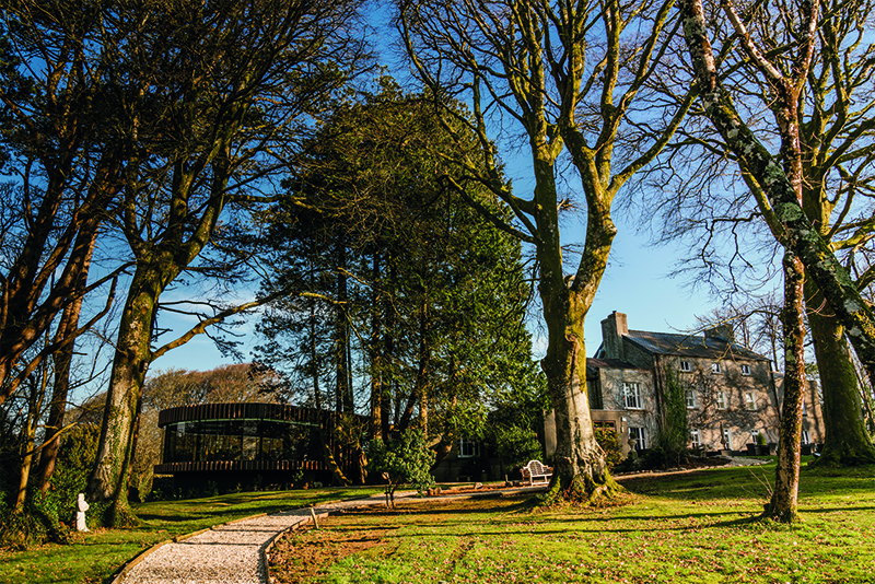 Fairyhill