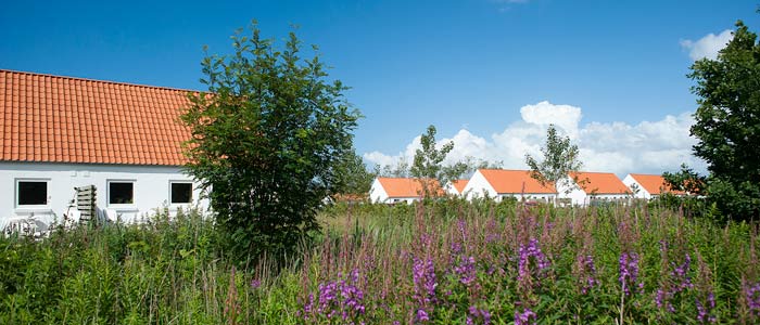 Feriecenter Skagen Strand Hulsig
