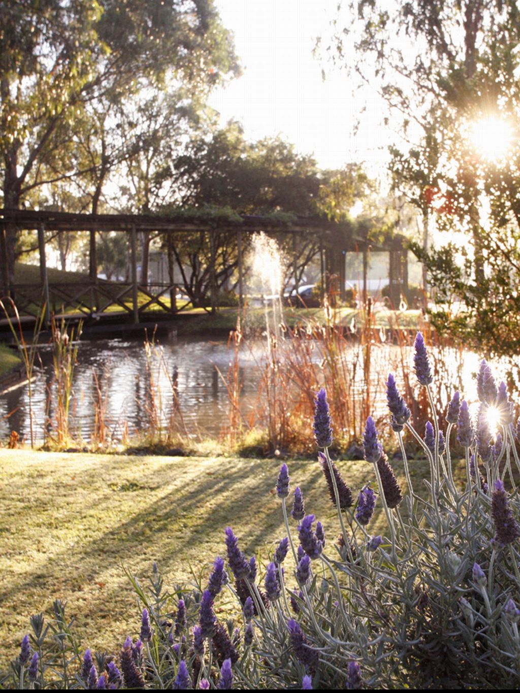 Hunter Valley Resort