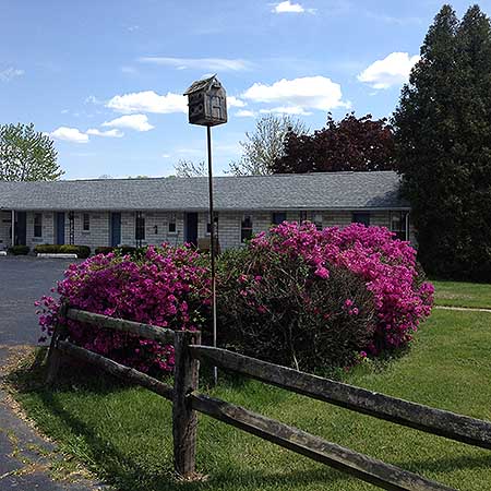Blue Sky Motel