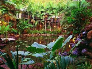 Daintree Eco Lodge & Spa