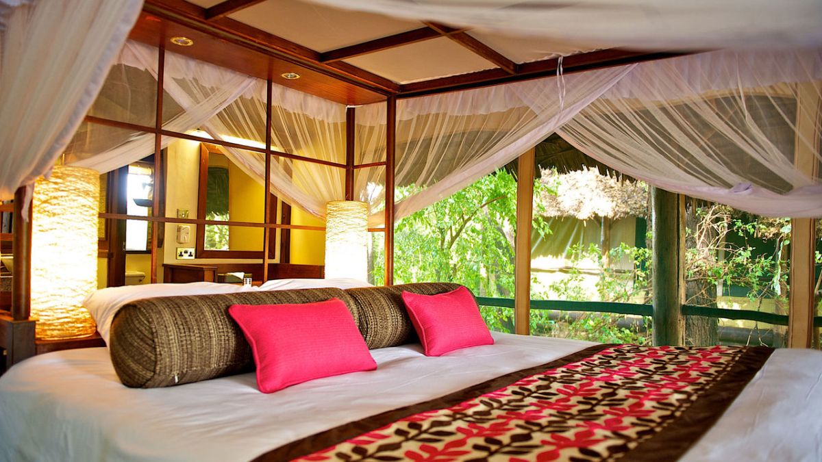 Samburu Intrepids