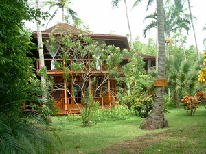 Tambor Tropical