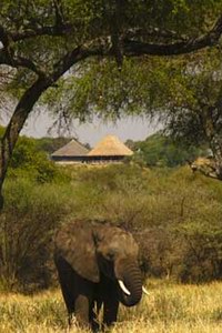 Tarangire Safari Lodge