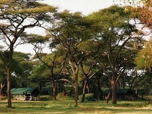 Swala Camp