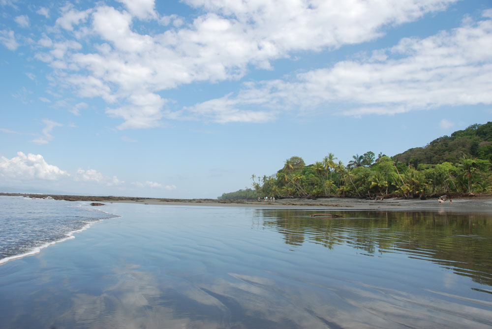 Tiskita Jungle Lodge