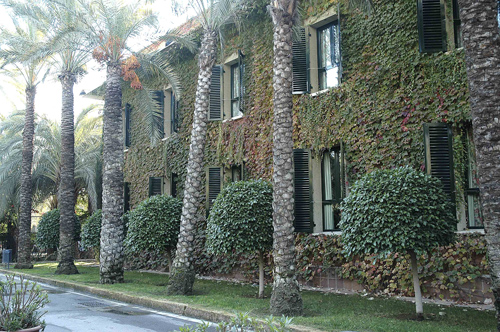 Hotel Jardin Milenio