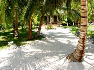 Tiamo Resort