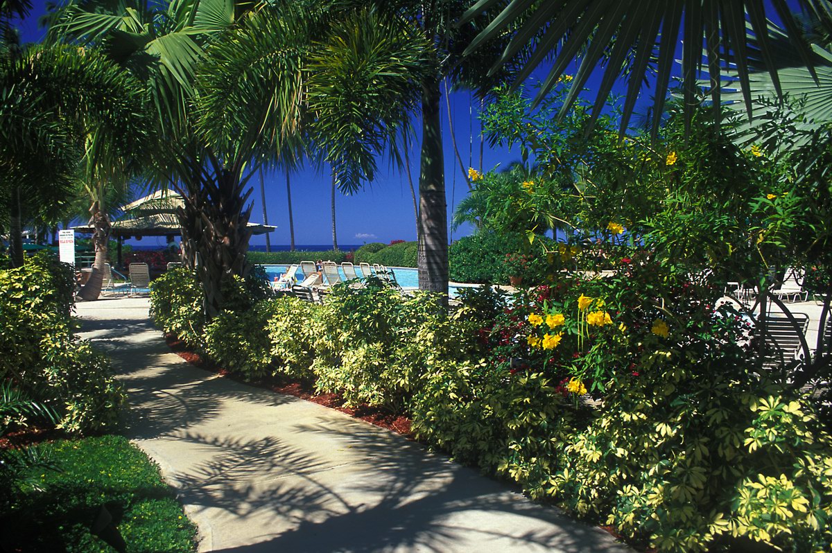 Rincon of the Seas Grand Caribbean Hotel