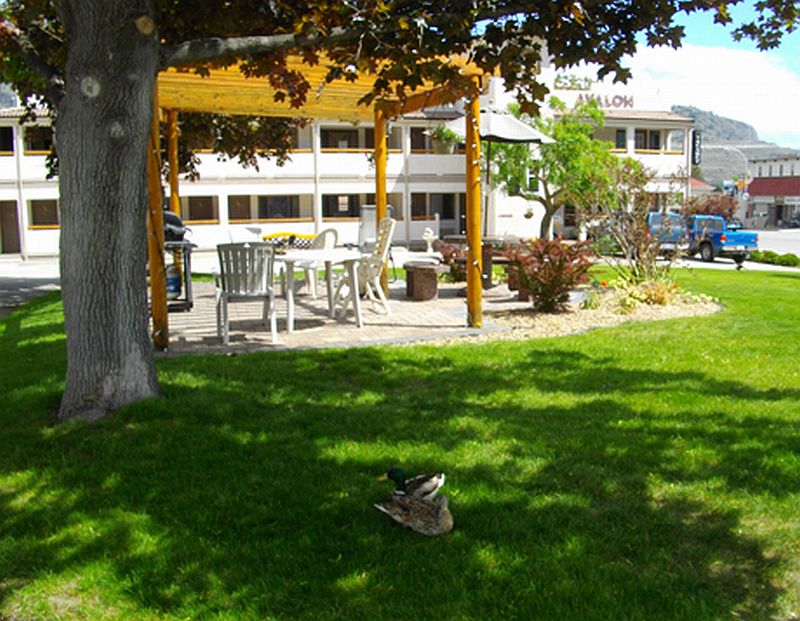 Avalon Inn
