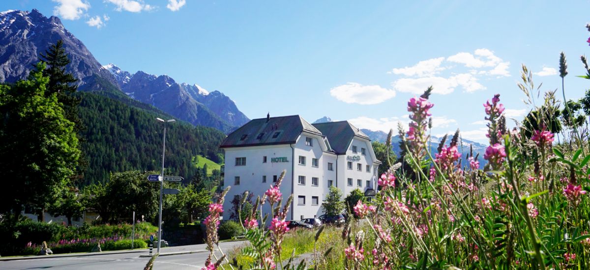 Hotel Altana