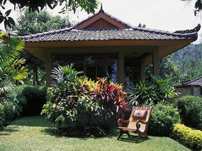 The Damai Lovina Villas