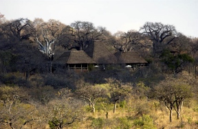 Elewana Tarangire Treetops