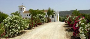 Hacienda el Santiscal