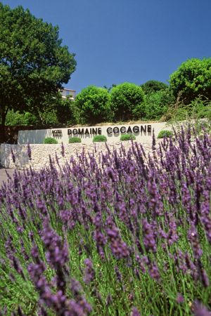 Sandton Hotel Domaine Cocagne