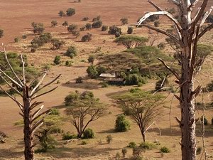 West Kilimanjaro Tented Camp