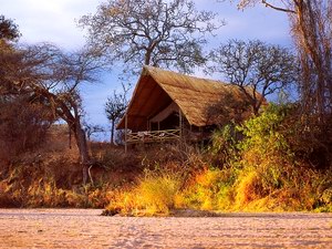 Jongomero Camp