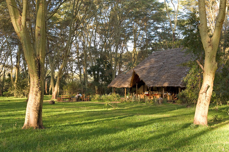 Migunga Forest Camp