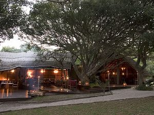 Kosi Forest Lodge